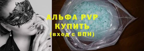 стаф Магас