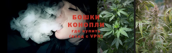 ГАЛЛЮЦИНОГЕННЫЕ ГРИБЫ Медногорск