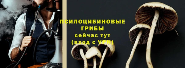 ГАЛЛЮЦИНОГЕННЫЕ ГРИБЫ Медногорск