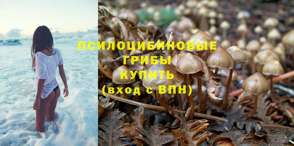ГАЛЛЮЦИНОГЕННЫЕ ГРИБЫ Медногорск