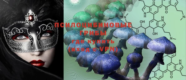 ГАЛЛЮЦИНОГЕННЫЕ ГРИБЫ Медногорск