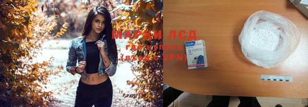 стаф Магас