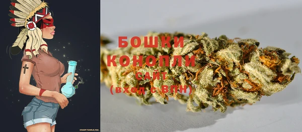 ГАЛЛЮЦИНОГЕННЫЕ ГРИБЫ Медногорск
